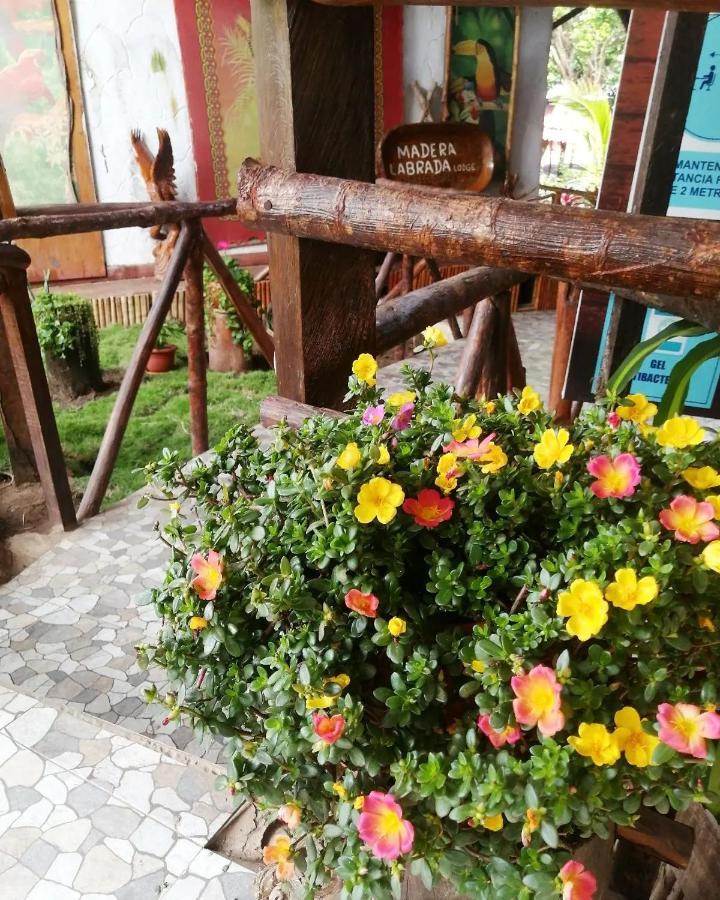 Madera Labrada Lodge Ecologico Tarapoto Exterior photo